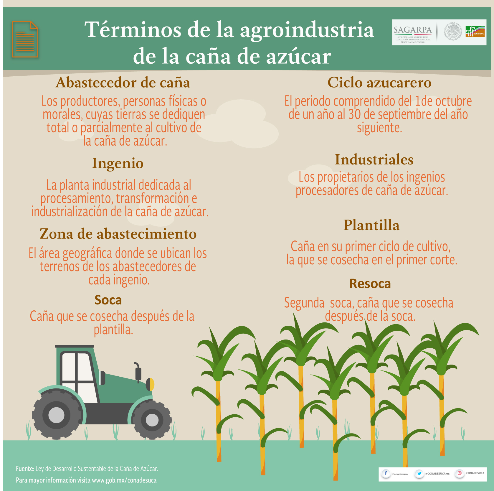 Infograf As De La Agroindustria De La Ca A De Az Car Comit Nacional Para El